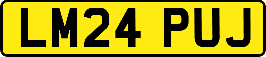 LM24PUJ