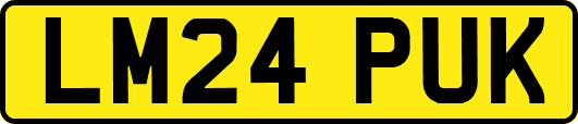 LM24PUK