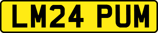 LM24PUM
