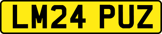 LM24PUZ