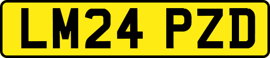 LM24PZD