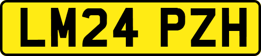LM24PZH