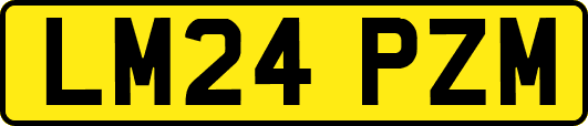 LM24PZM