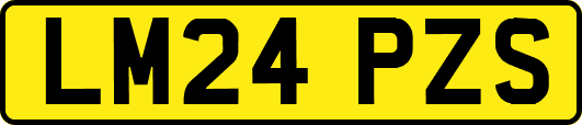 LM24PZS