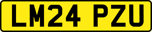 LM24PZU