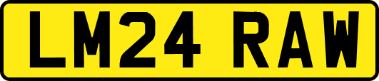 LM24RAW