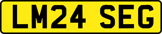LM24SEG