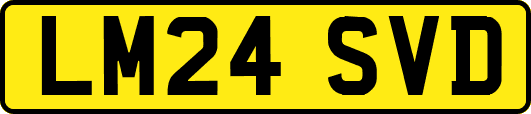 LM24SVD