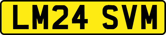 LM24SVM