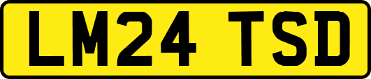LM24TSD