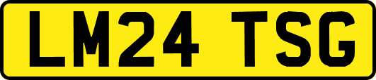 LM24TSG