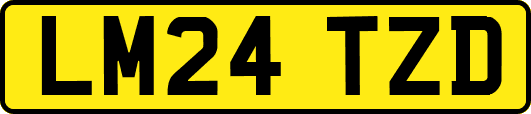 LM24TZD