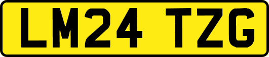 LM24TZG