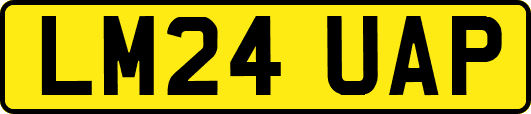 LM24UAP