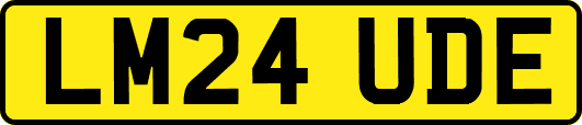 LM24UDE