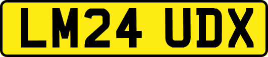 LM24UDX