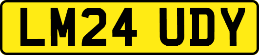 LM24UDY