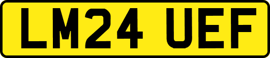 LM24UEF