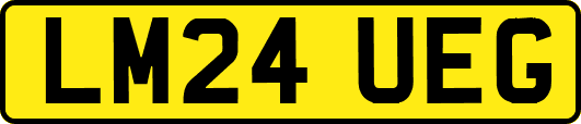LM24UEG