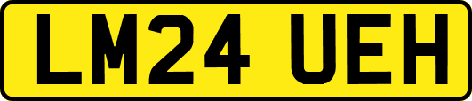 LM24UEH