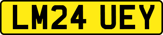 LM24UEY