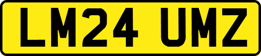 LM24UMZ