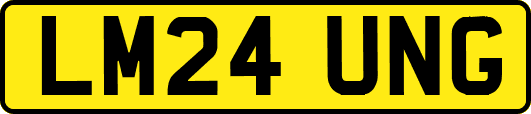 LM24UNG