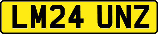 LM24UNZ