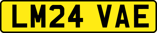 LM24VAE