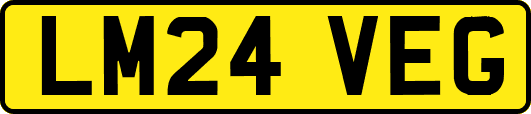 LM24VEG