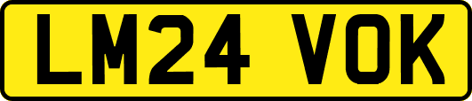LM24VOK