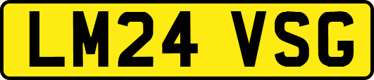 LM24VSG