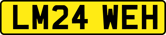 LM24WEH