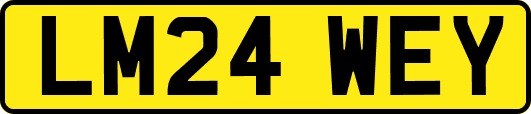 LM24WEY