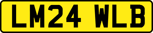 LM24WLB
