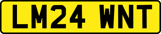 LM24WNT