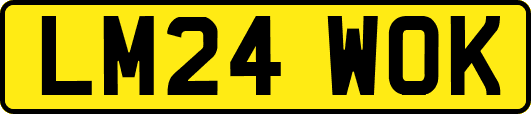 LM24WOK