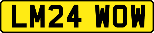 LM24WOW