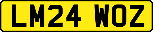 LM24WOZ