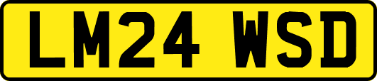 LM24WSD