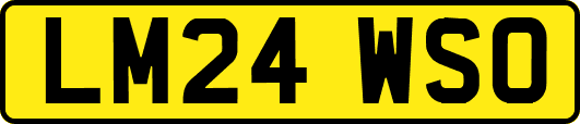 LM24WSO