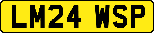 LM24WSP