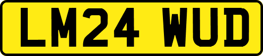 LM24WUD