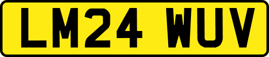LM24WUV