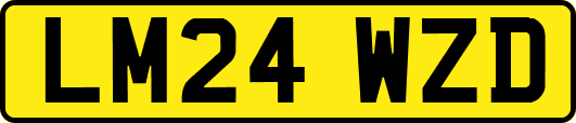 LM24WZD