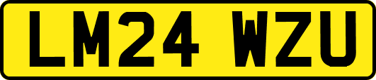 LM24WZU