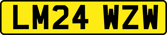 LM24WZW
