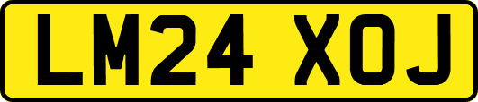 LM24XOJ