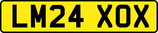 LM24XOX