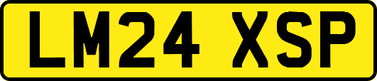 LM24XSP